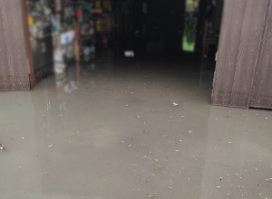 Մալիշկա գյուղի տներից մեկի նկուղային հարկից փրկարարները  հեռացրել են մոտ 20 տ ջուր