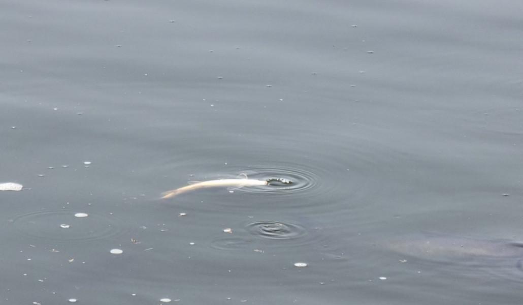 351550754_579651427383737_3916363369653261818_n