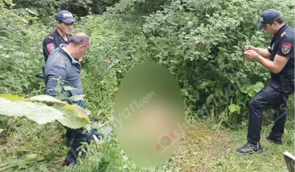 7e20239ba5a4fb587c797f8f52d3d492_1686834906_v1.thumb