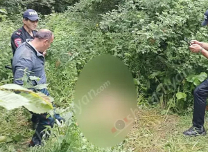 24-ամյա կնոջ մերկ ու մասամբ հոշոտված դին հայտնաբերվել է Դիլիջանի անտառում․ Shamshyan.com