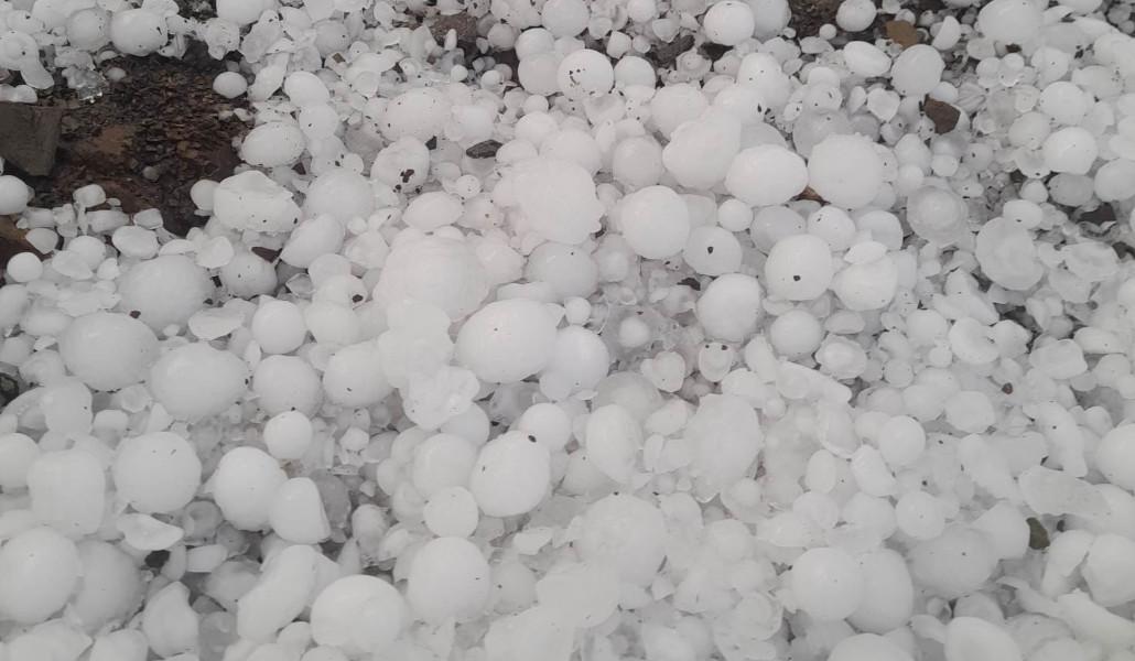 347256340_647537187392453_6483952796071066288_n