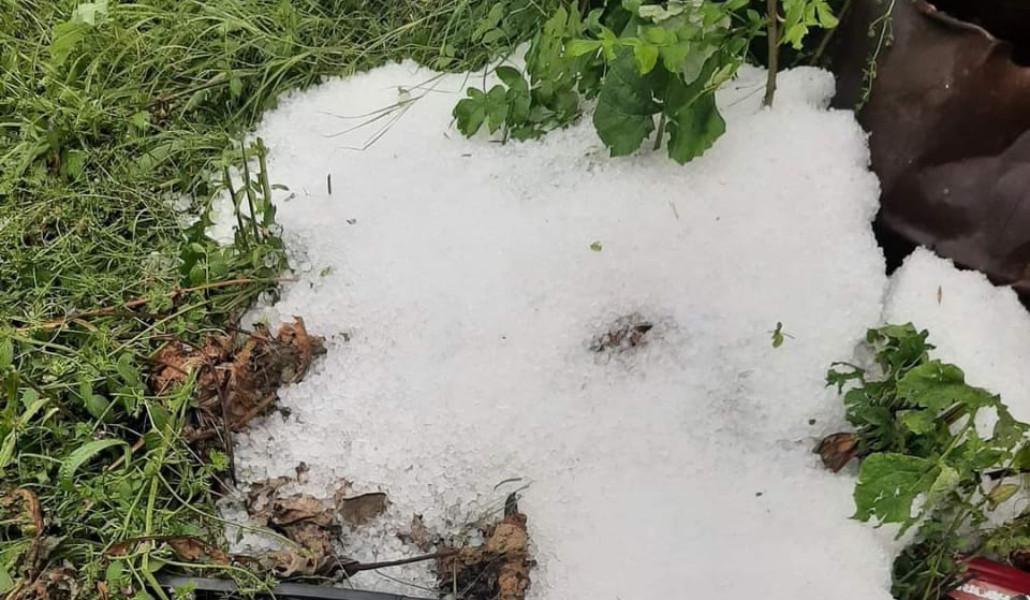 347592516_648141547332017_313093066233684878_n