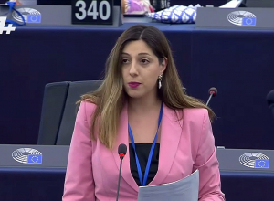 Ուշադրություն․ Ադրբեջանը կրակում է Հայաստանի ուղղությամբ․ Հռիփսիմե Գրիգորյանը՝ ԵԽԽՎ պատվիրակներին