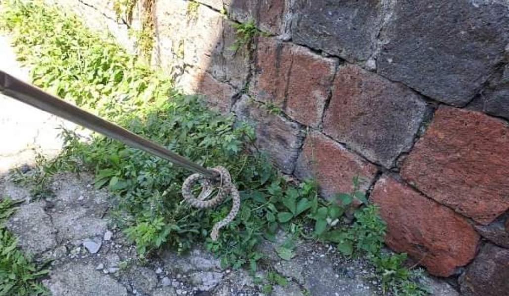 FB_IMG_1687925667217