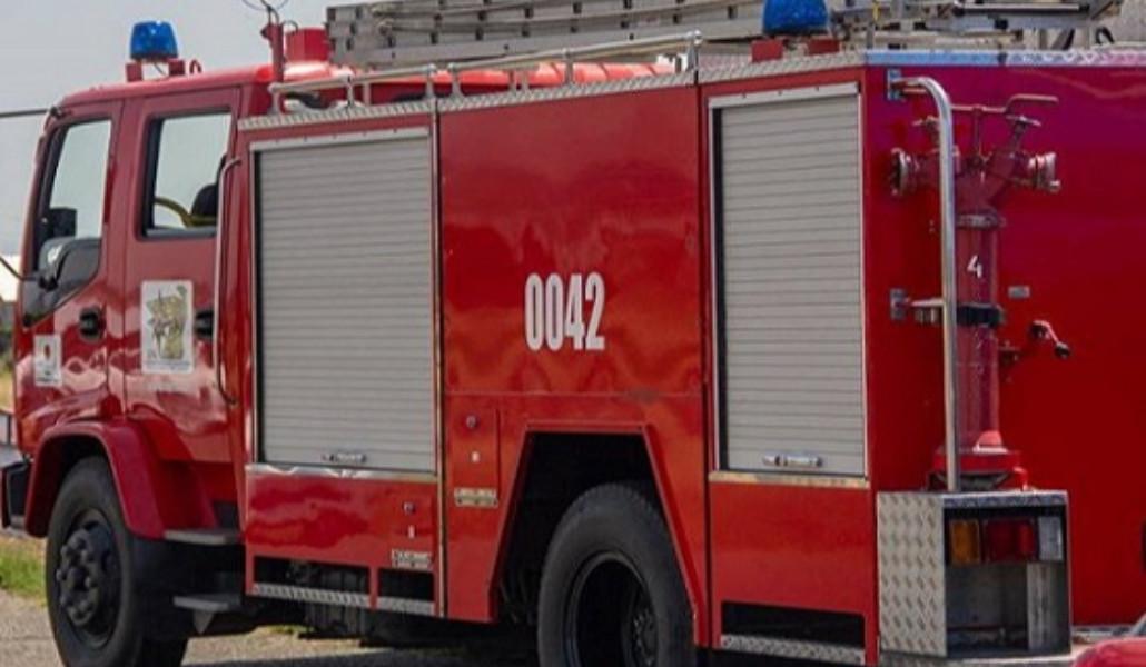 357517515_215301214799322_8470076211404005902_n