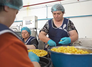 Պետության աջակցությամբ արտադրողները նոր սարքեր են գնում