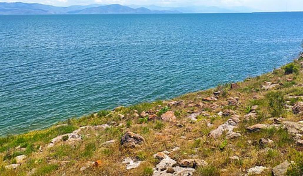 362263540_229136893415754_5326817253626053111_n