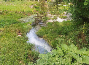 Температура воздуха постепенно понизится