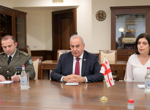 Сурен Папикян принял посла Грузии