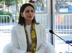 Տեսակետների տարբերությունը երբեք չպետք է վնասի ընդհանուր շահերին. պաշտպանը մասնակցել է պանելային քննարկման