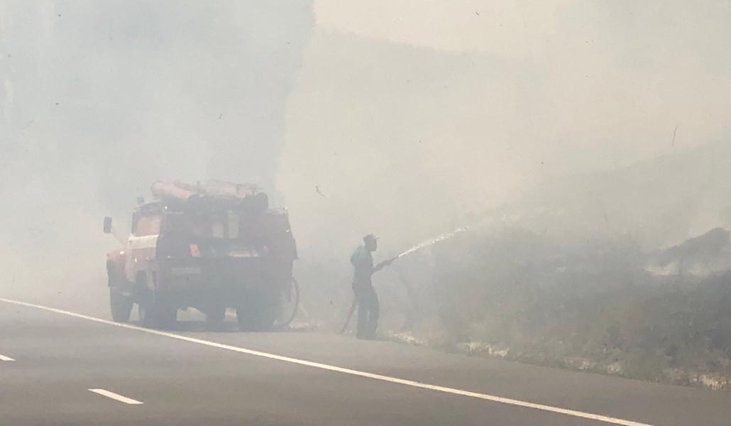 364077043_235617029434407_1273097591482602716_n