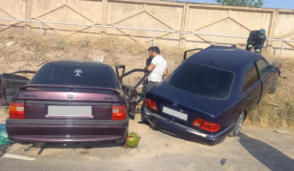 365769387_238025535860223_8781539048789386369_n