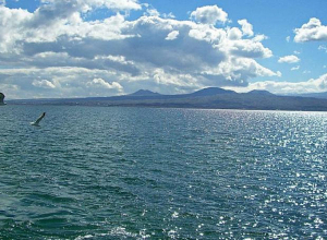 В озере Севан утонул гражданин Украины: Полиция представляет подробности