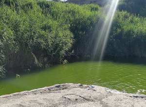 Հանգստի հարմարավետ գոտի կդառնա նաև Աղի լիճը․ քաղաքապետարան