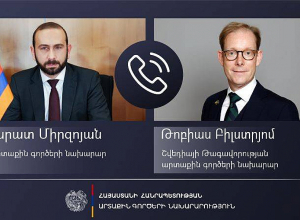 Միրզոյանը շվեդ գործընկերոջն է ներկայացրել ԼՂ-ում ահագնացող հումանիտար ճգնաժամի մանրամասները