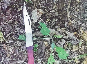 Սպանություն Ալավերդիում․ Թումանյանի ոստիկանների բացահայտումը