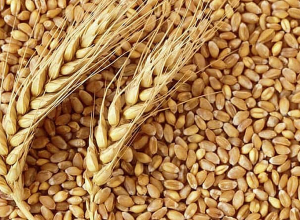 Արցախում ալյուրի քանակի սղության հետևանքով կկիրառվեն սահմանափակումներ