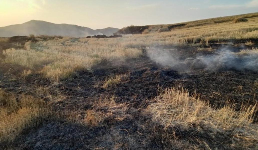 376658651_257102730619170_3559650609388478758_n