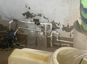 Սանիտարահիգիենիկ նորմերի խախտումներ՝ կաթնամթերքի արտադրամասում