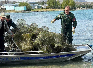 Թվով 165 կենդանի խեցգետին վերադարձվել է լիճ