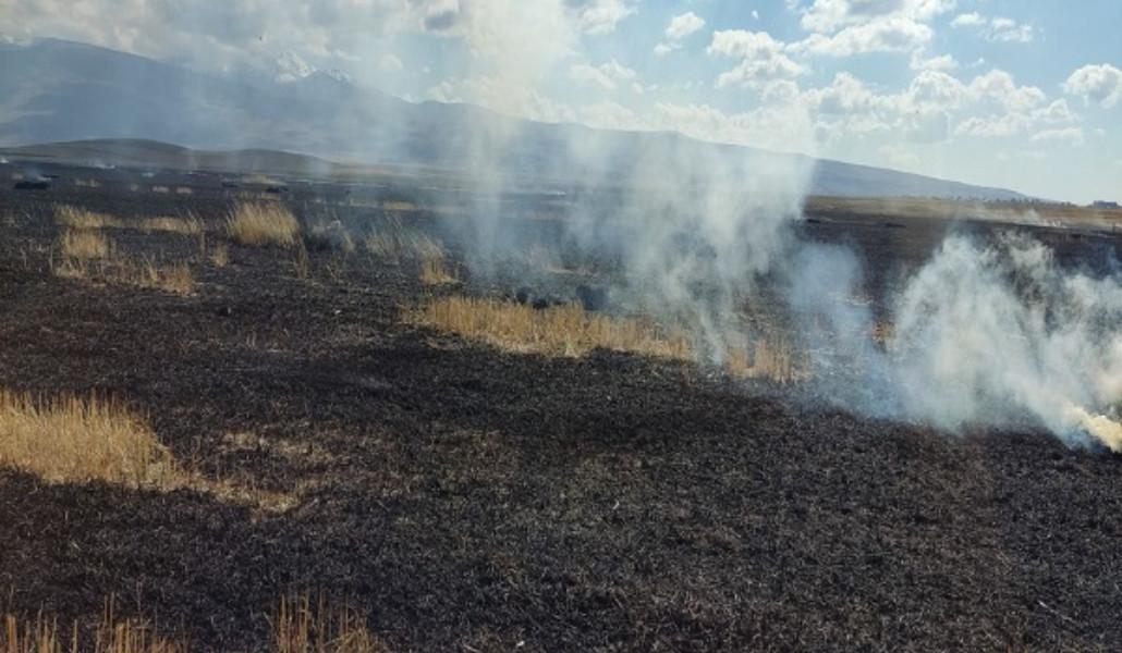 378826667_262146000114843_7525922582308467877_n