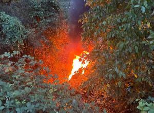 Կապան-Նորաշենիկ ճանապարհին «Mercedes-Benz»-ը դուրս է եկել երթևեկելի հատվածից և հայտնվել ձորում․ կա տուժած