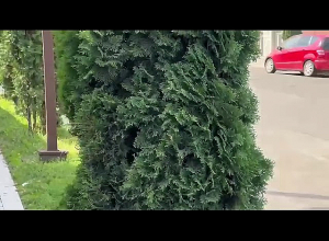 Азербайджан, нарушив соглашение о прекращении огня, ведёт огонь из различных видов огнестрельного оружия