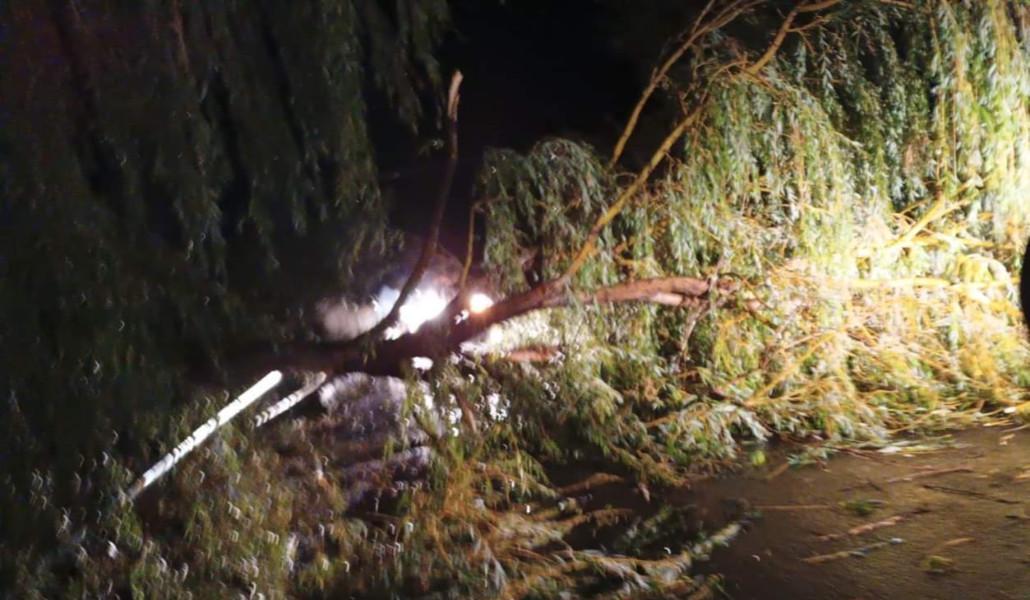 FB_IMG_1695612590990