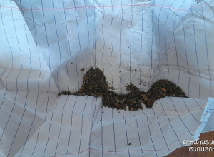 Կալանավորված անձը զբոսահրապարակում ենթարկվել է խուզարկության․ հայտնաբերվել են արգելված իրեր