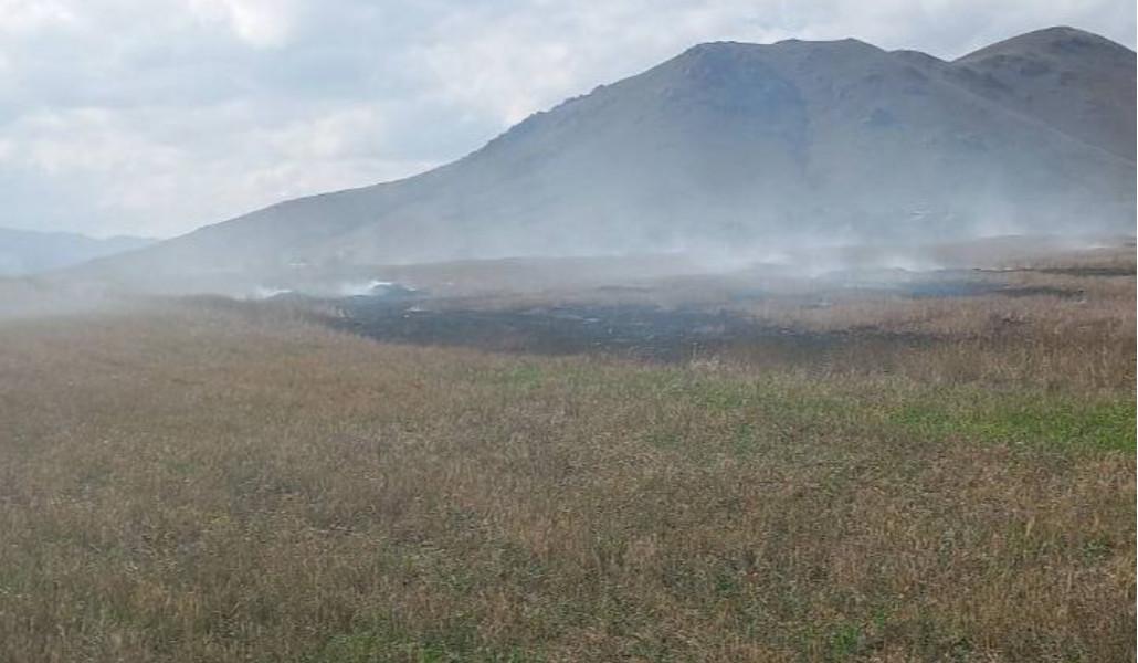 այրվել է խոտածածկույթ