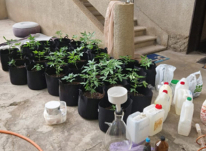 Բացահայտվել է թմրամիջոցների ապօրինի շրջանառությամբ զբաղվող խումբ․ հինգ անձ ձերբակալվել է