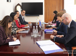 Անահիտ Մանասյանը ԵԽ հատուկ ներկայացուցչին է ներկայացրել բռնի տեղահանված անձանց իրավունքների պաշտպանությանն առնչվող հարցեր