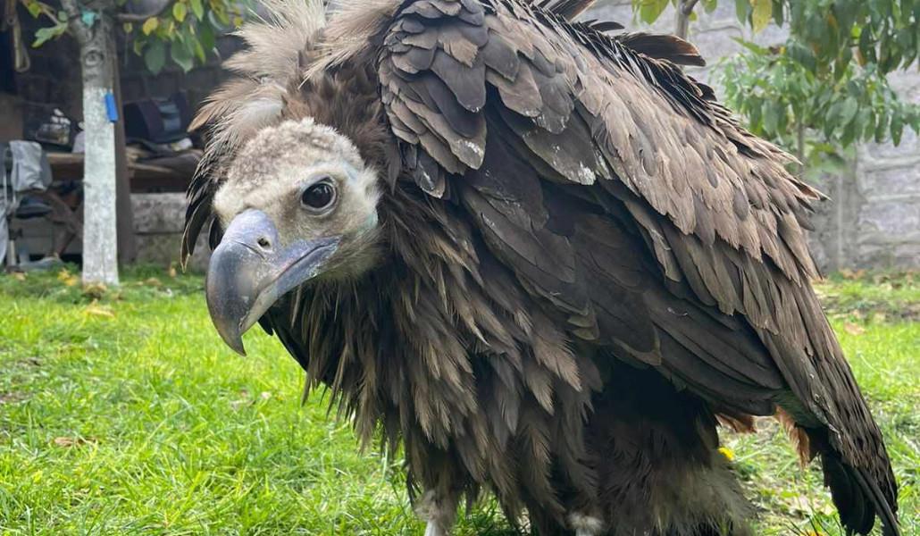 395457681_736897591800598_1732641448568264620_n