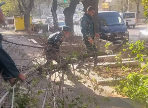 Փրկարարները հեռացրել են ծառի կախված ճյուղերը