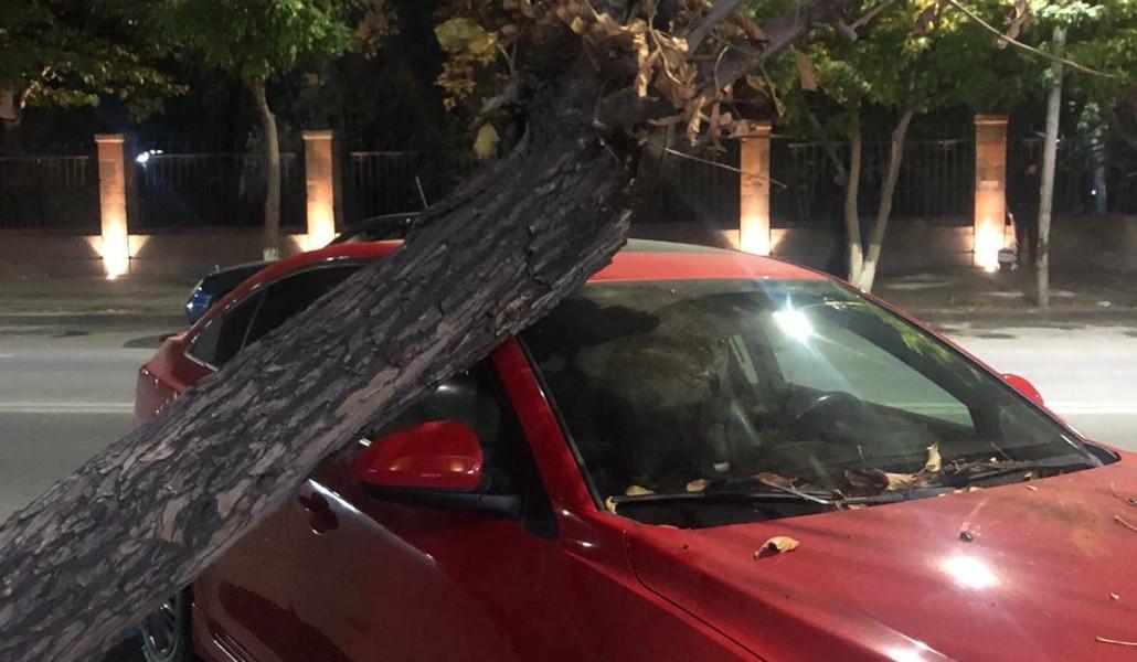 400768800_297978429864933_8932778312713597680_n