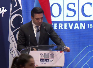 Սակայն միջազգային հանրությունը համարժեք միջոցներ չձեռնարկեց․ Ալեն Սիմոնյանի ելույթը