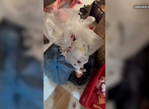 ԱԱԾ ն բացահայտել է նախադպրոցական  հաստատություններում առանձնապես խոշոր չափերով հափշտակության դեպքեր