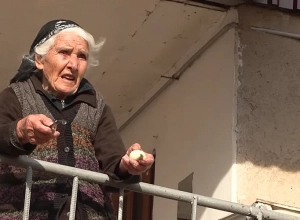 Կոլխոզի առաջավորը, ակտիվիստն ու դեպուտատը