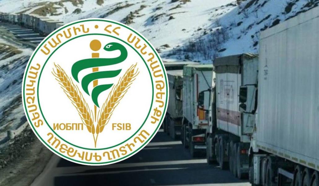 Untitled Design (11)