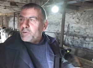 Կով պահելը խելքի հարց ա. Վիգենի դրախտը