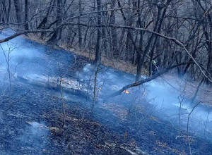 «Դիլիջան ազգային պարկ»-ում հրդեհի ծխացող օջախները հայտնաբերելու համար ԱԹՍ-ի միջոցով իրականացվում է օդային հետախուզում