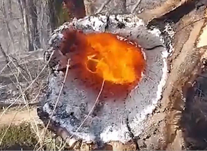 Դիլիջան ազգային պարկ» ՊՈԱԿ-ի 3-րդ պահաբաժնում բռնկված հրդեհը մարվել է