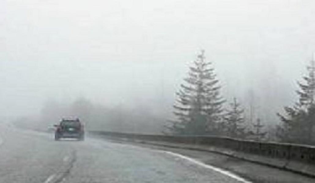 409560799_314550498207726_2861578478386175581_n