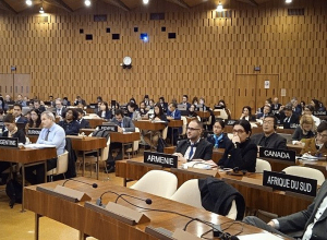 Հայաստանի Հանրապետությունն ընտրվել է ՅՈՒՆԵՍԿՕ-ի 1954 թ. կոնվենցիայի կոմիտեի անդամ