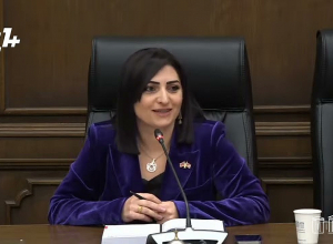 Վարդենիսում մարդիկ գիշերում են թշնամու կրակոցների տակ, ի՞նչ խաղաղություն. Թագուհի Թովմասյան