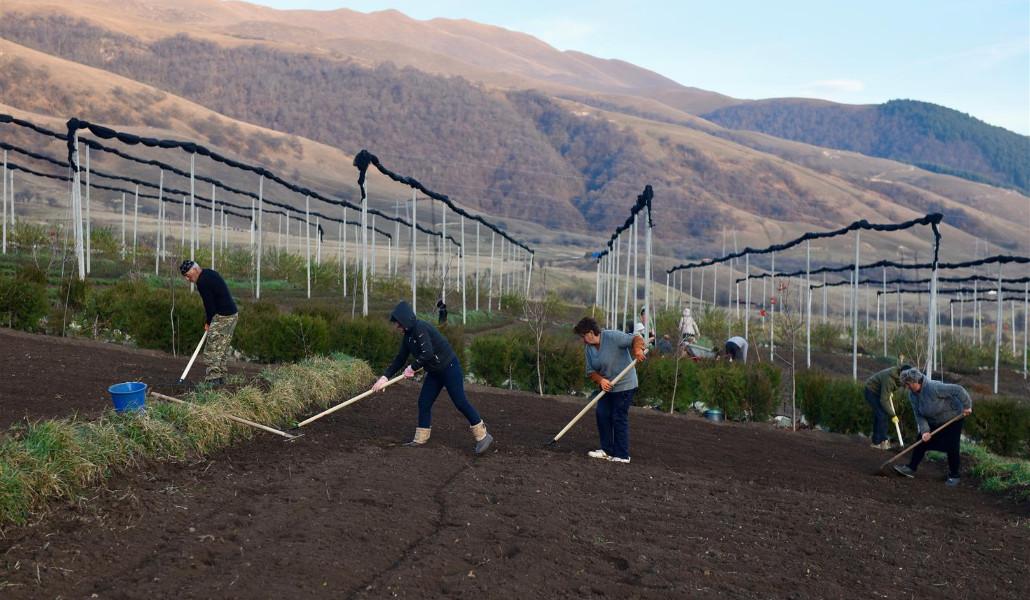 SDC FORACCA PHOTO (Large)