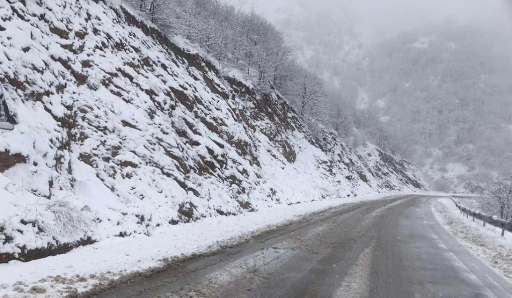 411002768_122165314466003277_6267988288307347083_n