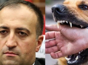 Պետք է քննության առարկա դառնա՝ արդյո՞ք շան կծելու հետևանքով մահացած կնոջը պատշաճ բուժօգնություն ցուցաբերվել է, թե՞ ոչ. Արսեն Թորոսյան