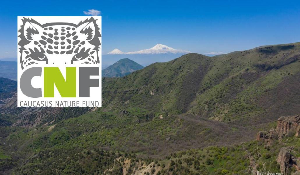 Untitled Design (91)