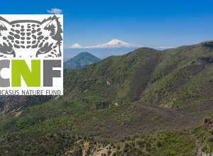 Ավելի քան մեկ միլիոն եվրո 2023 թվականին՝ CNF-ի կողմից